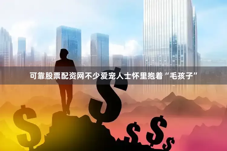 可靠股票配资网不少爱宠人士怀里抱着“毛孩子”