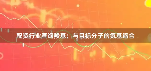 配资行业查询羧基：与目标分子的氨基缩合